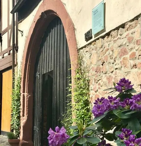 Buedinger Hof Apartment *