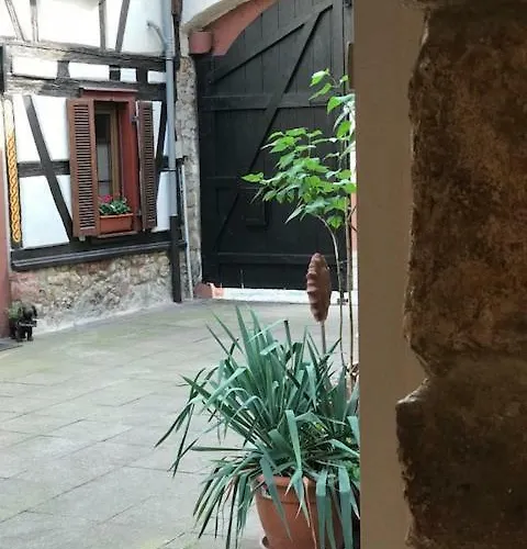 Buedinger Hof Appartement Weinheim